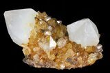 Sunshine Cactus Quartz Crystal Cluster - South Africa #80208-1